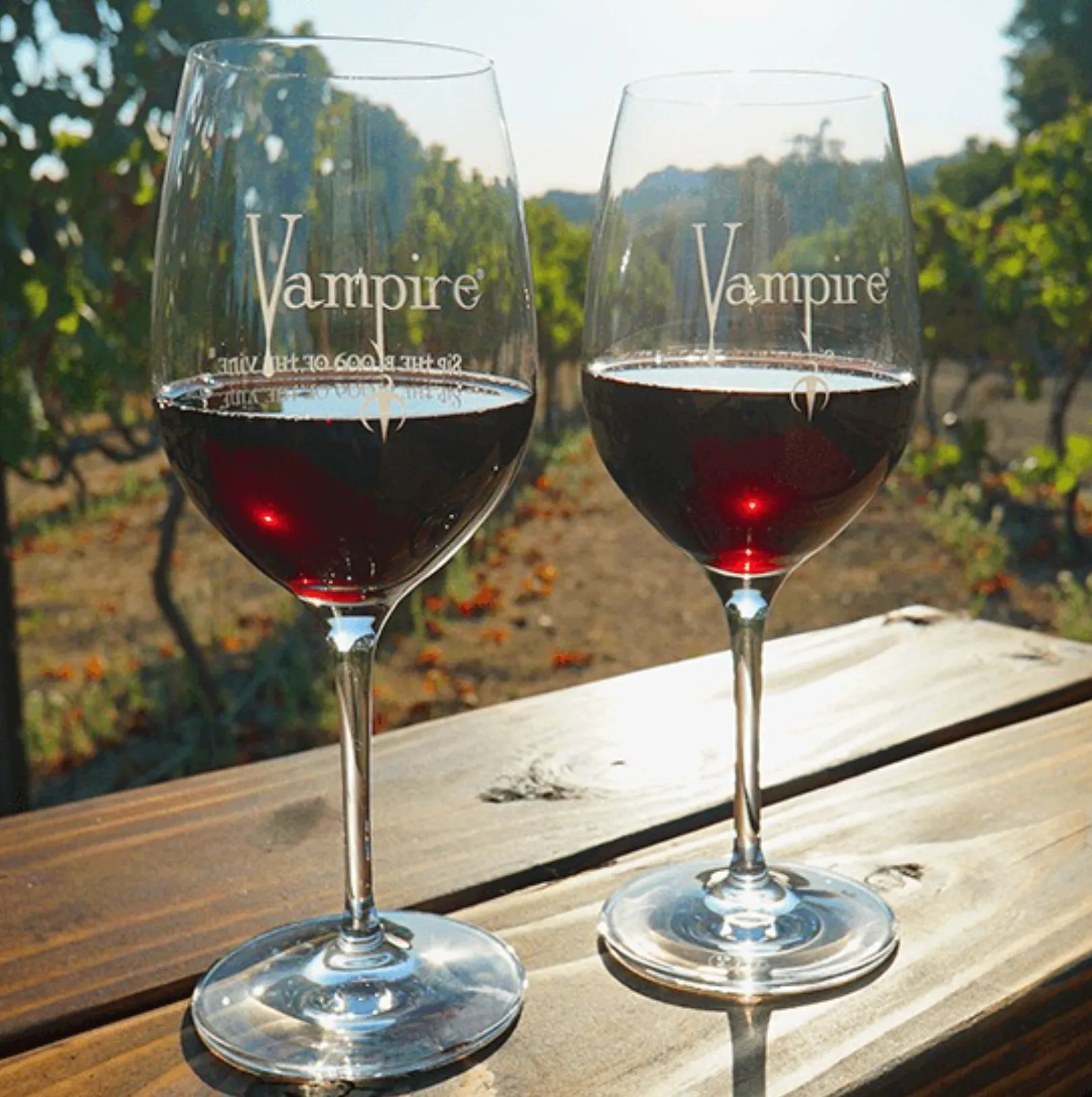 2 BOTTLES VAMPIRE® PINOT NOIR