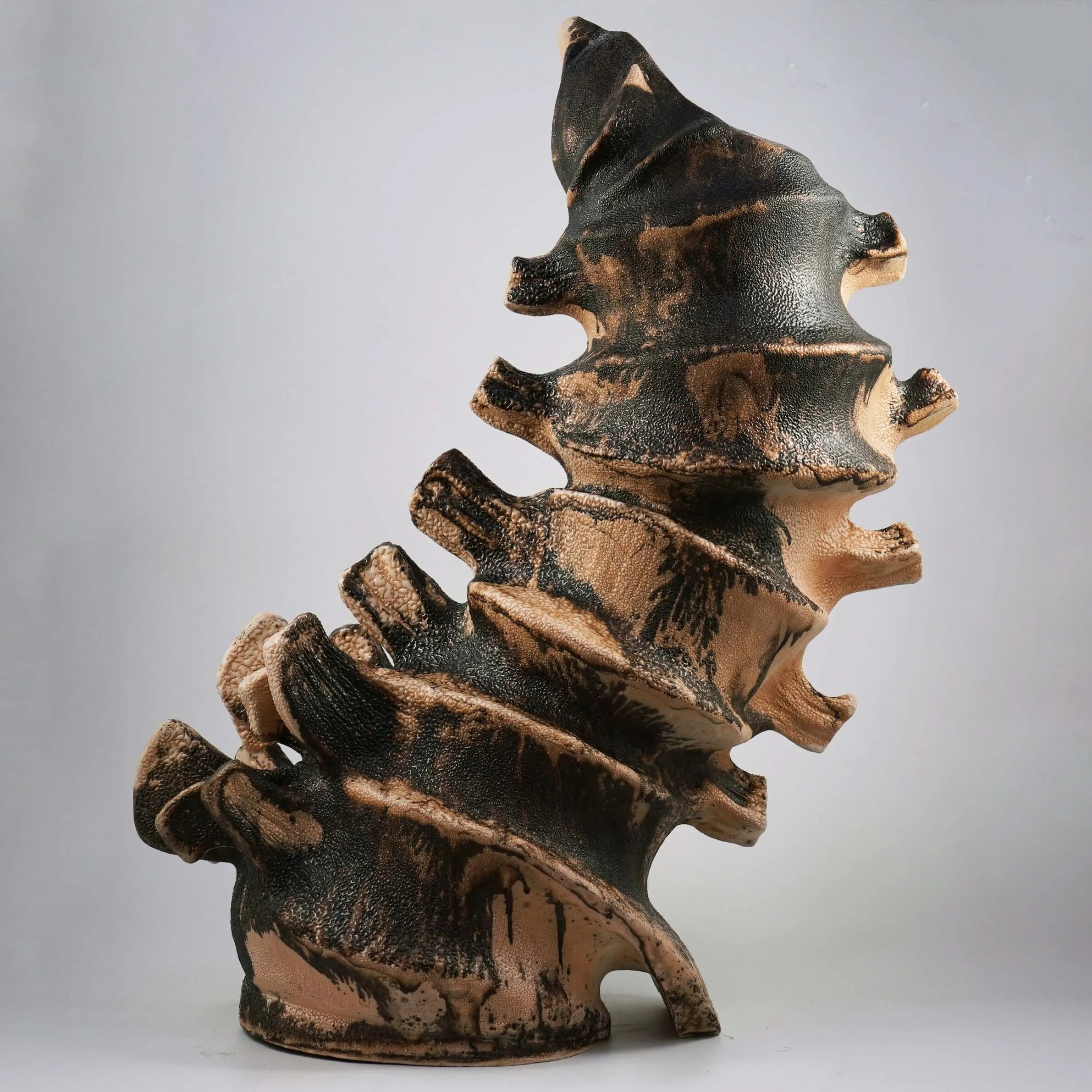 Bone series no. 4 - Bones collection raku ceramic pottery sculpture by Adil Ghani