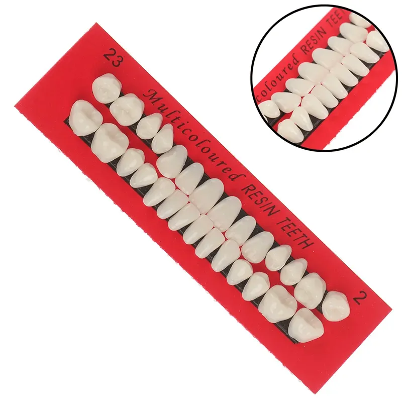 Resin Human style teeth, Craft Supplies, DIY Malleable Resin Artificial Teeth, Multi-Purpose, Vampire Dentures, Halloween Decor