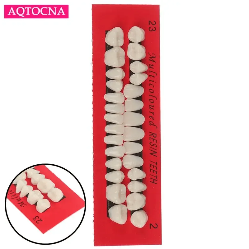 Resin Human style teeth, Craft Supplies, DIY Malleable Resin Artificial Teeth, Multi-Purpose, Vampire Dentures, Halloween Decor