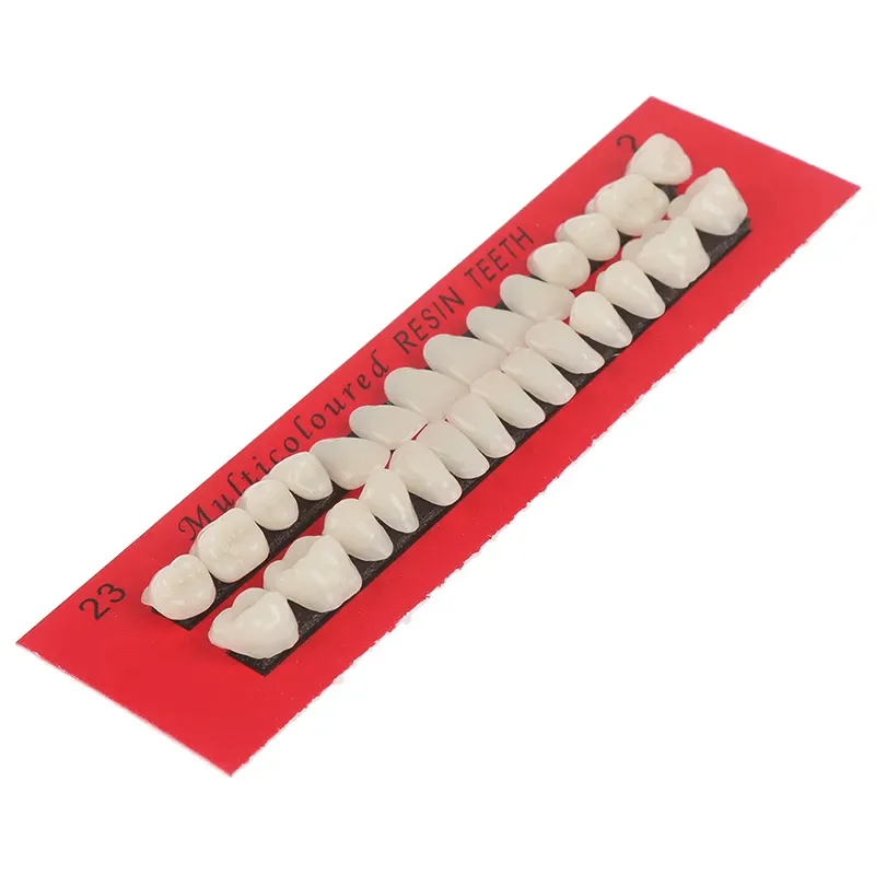 Resin Human style teeth, Craft Supplies, DIY Malleable Resin Artificial Teeth, Multi-Purpose, Vampire Dentures, Halloween Decor