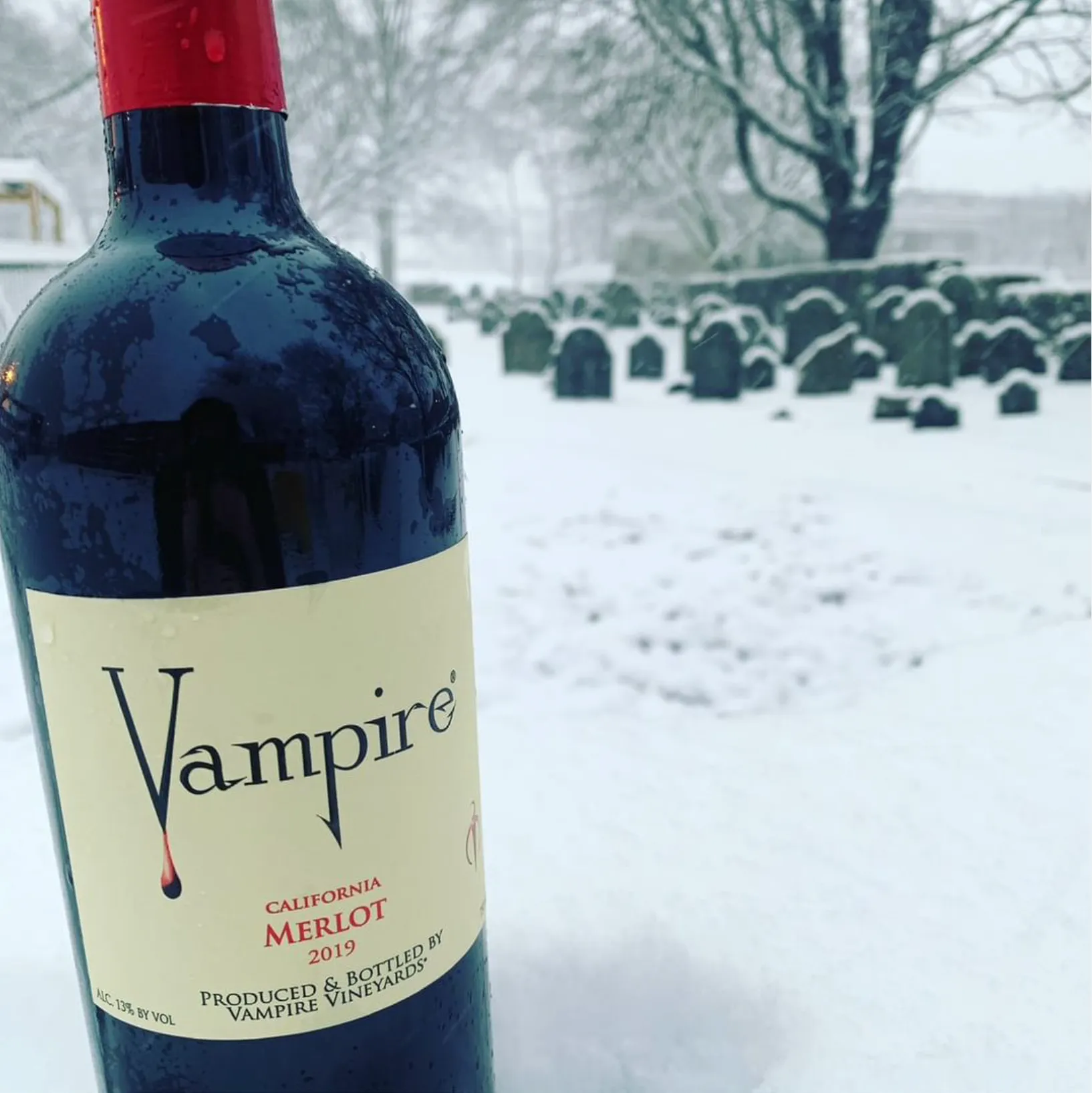 VAMPIRE® CHILLS & THRILLS WINE CLUB